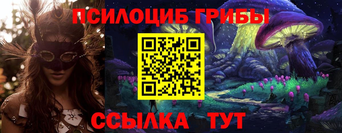 Галлюциногенные грибы Cubensis Донской