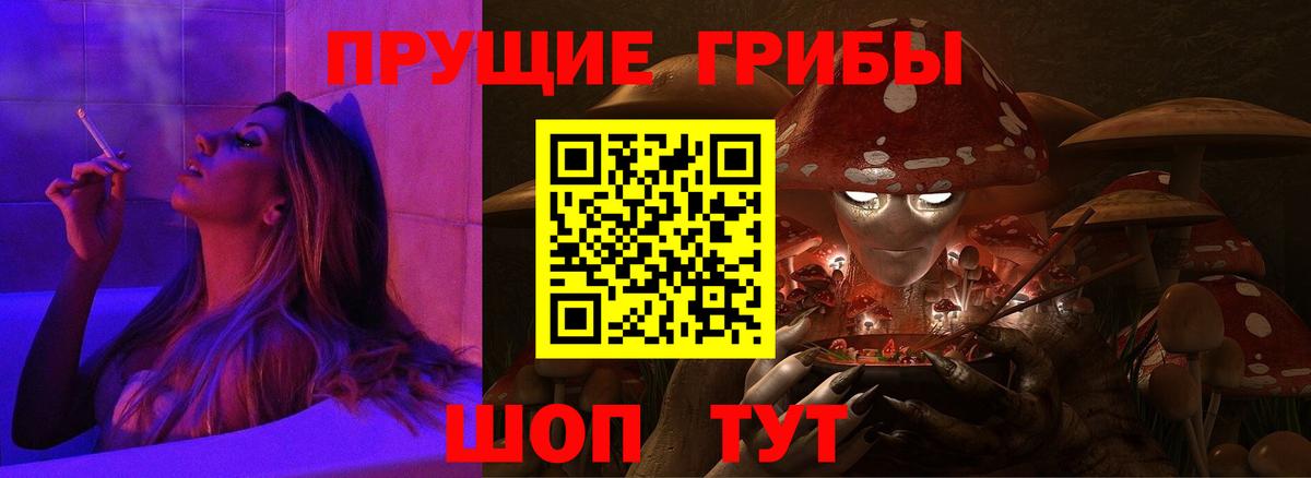 Донской  Псилоцибиновые грибы мицелий  купить   Вход с VPN 